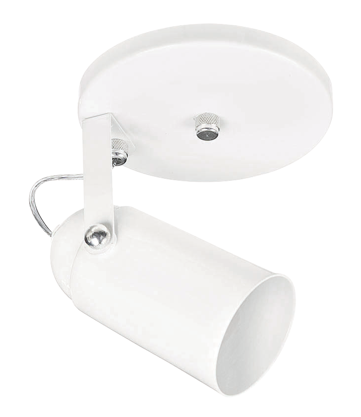 Spot 1010 Branco 1L 101102.png