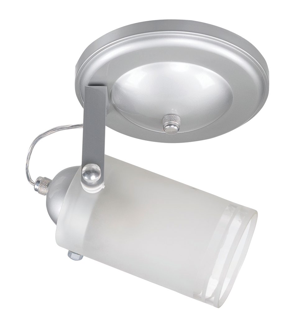 Spot Lux 1L Prata 175101.png